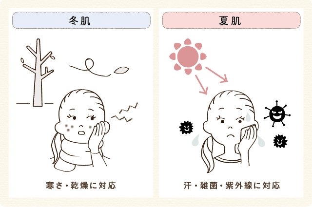 冬肌→寒さ・乾燥に対応／夏肌→汗・雑菌・紫外線に対応
